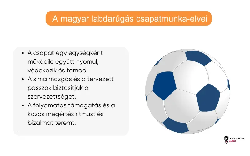 csapatmunka-alapelvei-magyar-labdar&uacute;g&aacute;sban