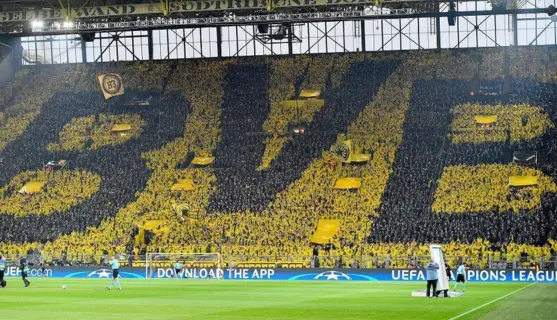 futball-ultrák-bvb