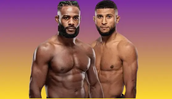 ufc-fight-night-274-előrejelzés-sterling-zalal